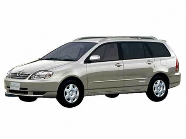 Коврики из экокожи 3D  Toyota Corolla/Fielder (E120/130, правый руль) 2001-2006