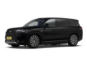 Denza N9 2024-н.в.